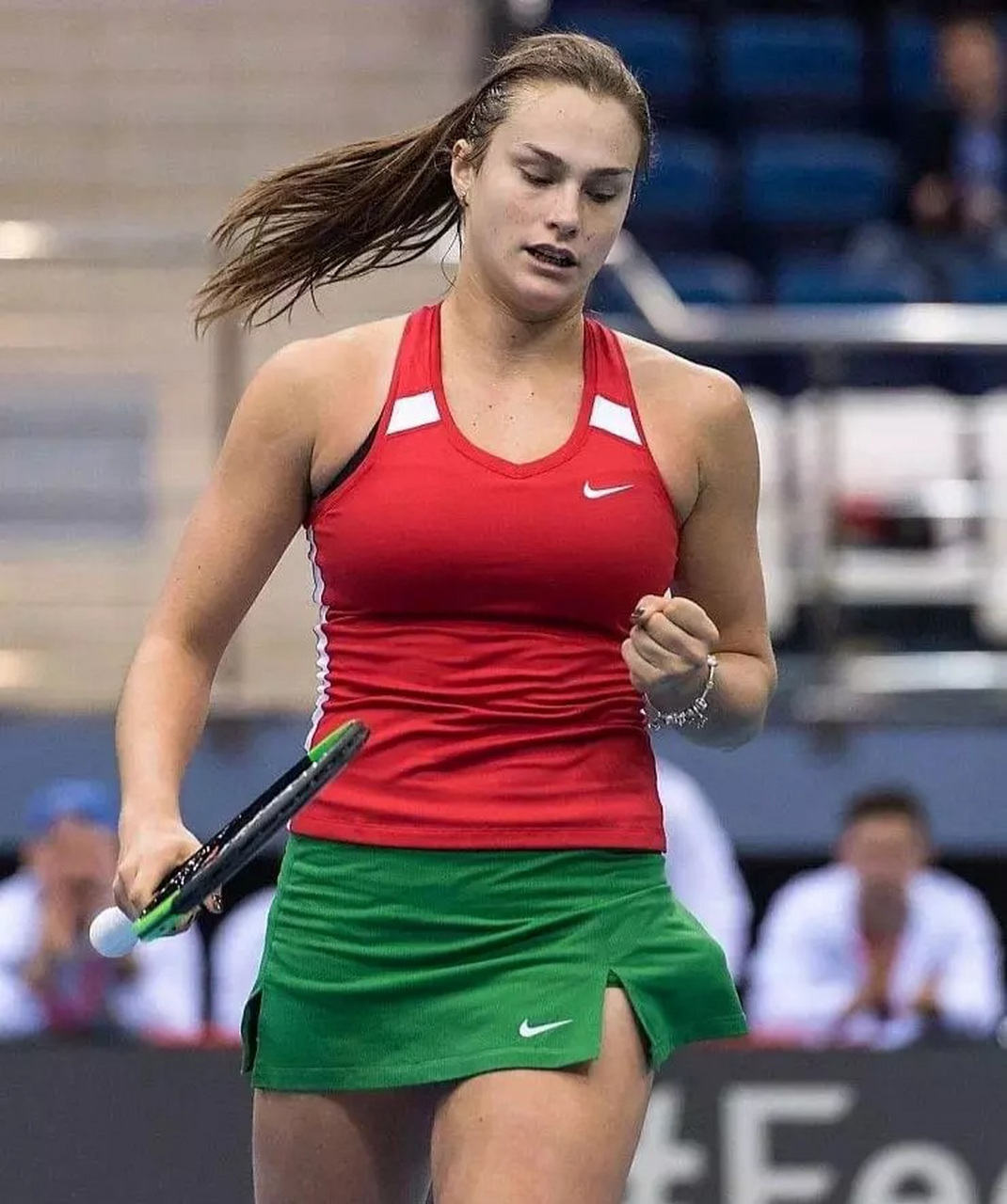 德米纳尔的 德米纳尔的